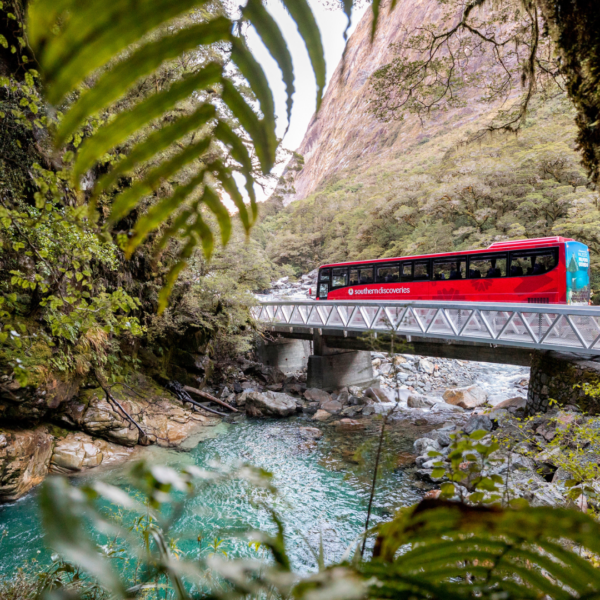 Milford Sound Coach & Nature Cruise