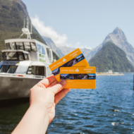 Milford Sound Coach / Cruise / Fly, 9.5 HRS - Image 2