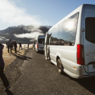 Milford Sound Coach / Cruise / Fly, 9.5 HRS - Image 3