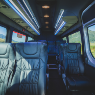 Milford Sound Coach / Cruise / Fly, 9.5 HRS - Image 4