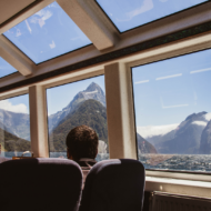 Milford Sound Coach / Cruise / Fly, 9.5 HRS - Image 7