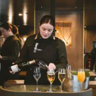 Milford Sound Business Class: Where Luxury Meets Wilderness - Image 10