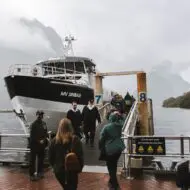 Milford Sound Business Class: Where Luxury Meets Wilderness - Image 9