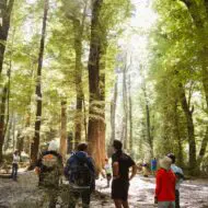 Milford Sound Business Class: Where Luxury Meets Wilderness - Image 6