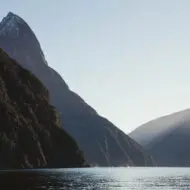 Milford Sound Business Class: Where Luxury Meets Wilderness - Image 8