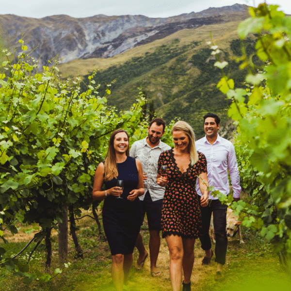 Queenstown Wine Sampler Tour wine tasting at Gibbston Valley