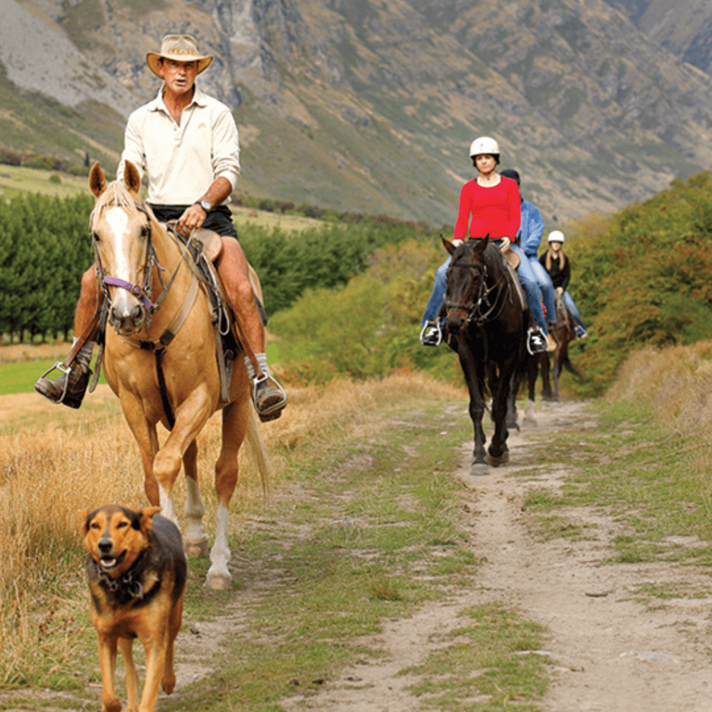 Walter Peak Horse Trek overlooking Lake Whakatipu